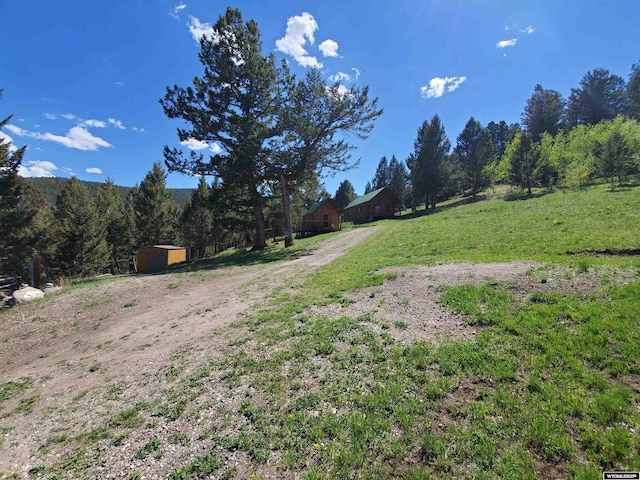 2 Lookout Ln, Dubois, WY 82513 - view of yard featuring a storage shed