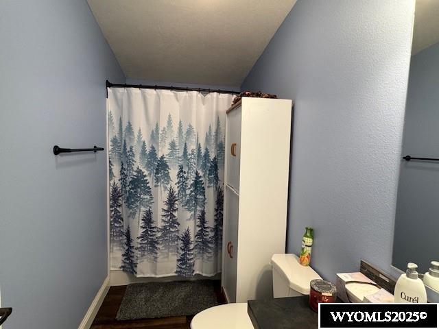 309 Susie Ave, Diamondville, WY 83116 - full bathroom with wood finished floors and a shower with curtain