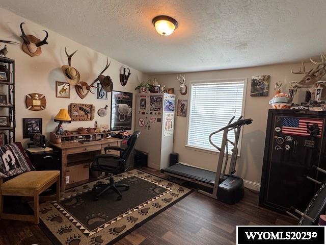 309 Susie Ave, Diamondville, WY 83116 - office with a textured ceiling and wood finished floors