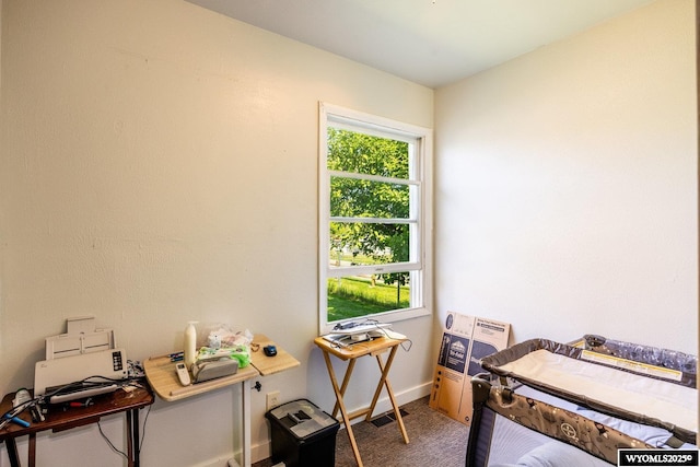 1534 Spaulding St, Sheridan, WY 82801 - home office with carpet floors and baseboards