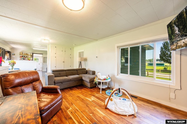 1534 Spaulding St, Sheridan, WY 82801 - living room with light wood finished floors and baseboards