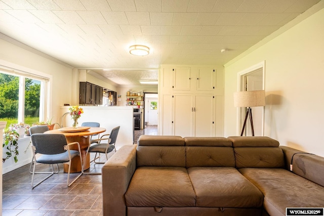 1534 Spaulding St, Sheridan, WY 82801 - living room featuring ornamental molding