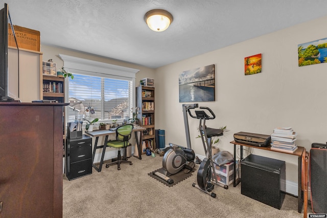 3308 Brickyard Ave, Rock Springs, WY 82901 - carpeted office with a textured ceiling