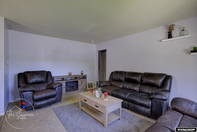 2634 Hanway Ave, Casper, WY 82604 - living area featuring carpet flooring and a glass covered fireplace