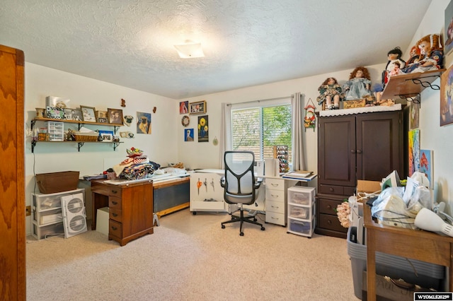606 Herschler Ave, Evanston, WY 82930 - office featuring a textured ceiling and carpet flooring