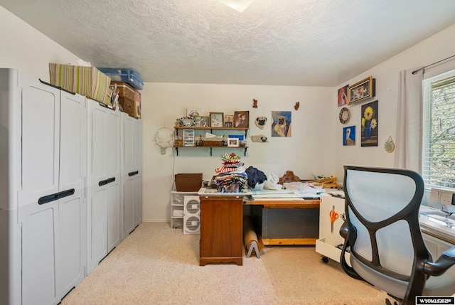 606 Herschler Ave, Evanston, WY 82930 - office with a textured ceiling and light colored carpet