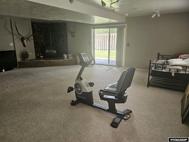 1150 Park View Dr, Green River, WY 82935 - exercise area featuring carpet flooring and a fireplace