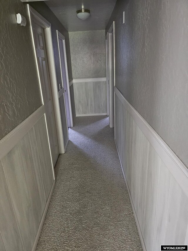 1150 Park View Dr, Green River, WY 82935 - hallway featuring carpet, a textured wall, and wainscoting