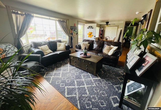1328 Canyon Ct, Kemmerer, WY 83101 - living area with wood finished floors and a ceiling fan