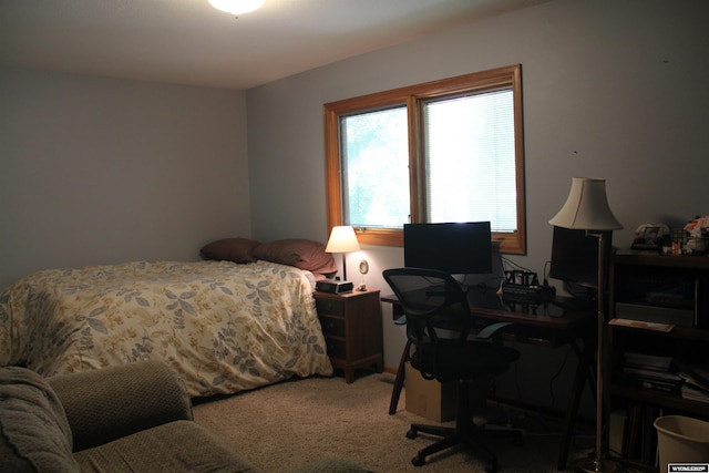 1540 Manor Dr, Casper, WY 82609 - bedroom with carpet flooring and a desk