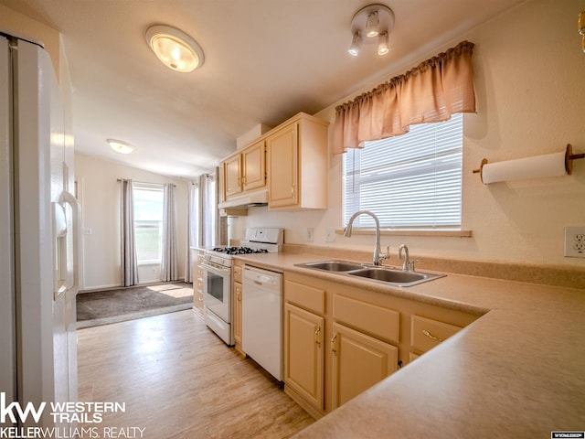 7459 Geary Dome Rd, Evansville, WY 82636 - kitchen featuring white appliances, under cabinet range hood, light countertops, and light wood-style floors