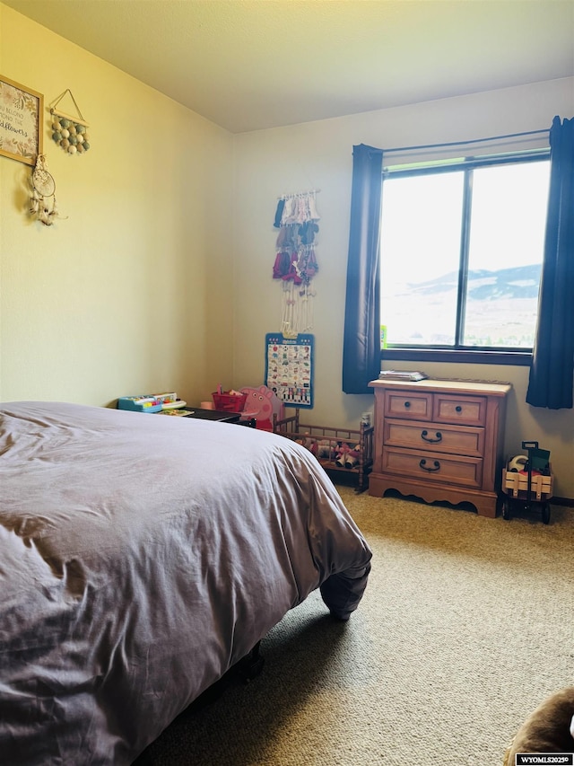 1512 Highview Dr, Dubois, WY 82513 - bedroom featuring carpet