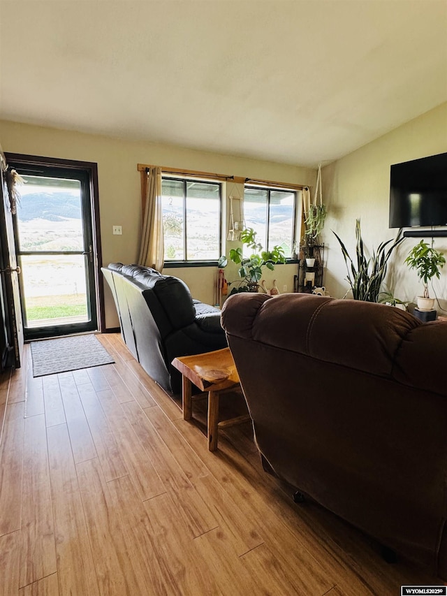 1512 Highview Dr, Dubois, WY 82513 - living room featuring light wood-type flooring