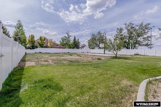 1011 Heritage Cove Dr, Lyman, WY 82937 - view of yard