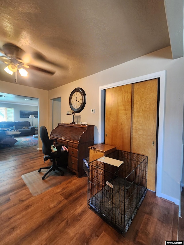 828 Fort St, Buffalo, WY 82834 - office featuring wood finished floors, ceiling fan, and a textured ceiling