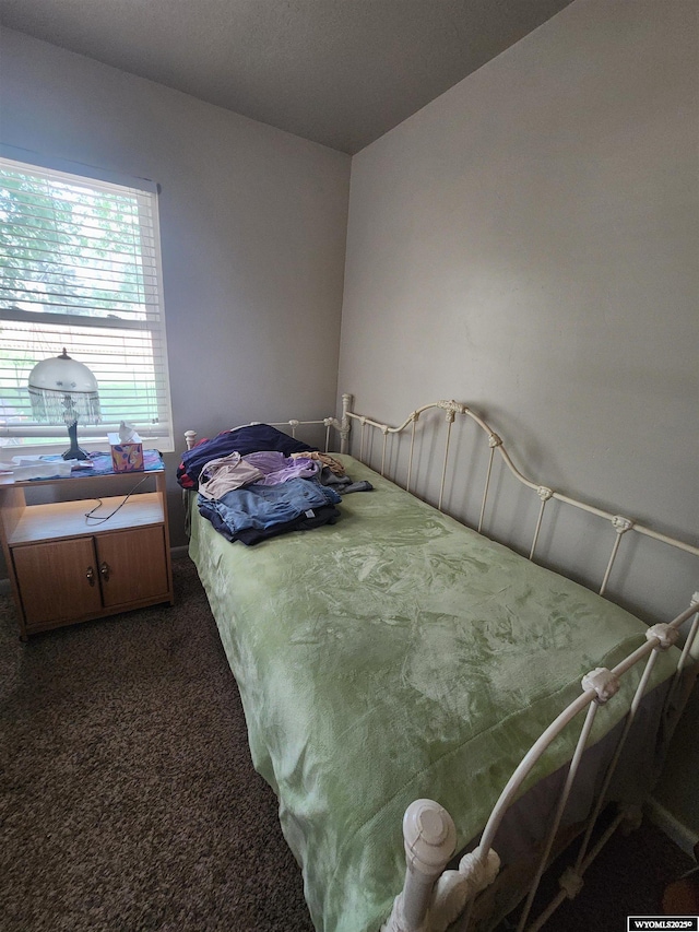 828 Fort St, Buffalo, WY 82834 - view of carpeted bedroom
