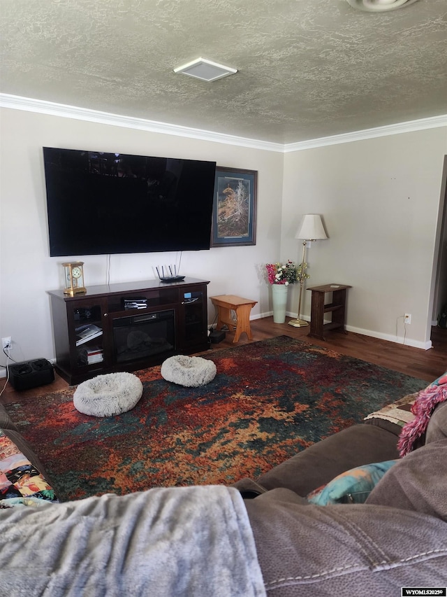 828 Fort St, Buffalo, WY 82834 - living room with crown molding, wood finished floors, and a textured ceiling