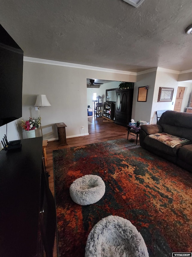 828 Fort St, Buffalo, WY 82834 - living room featuring ornamental molding, wood finished floors, a textured ceiling, and ceiling fan