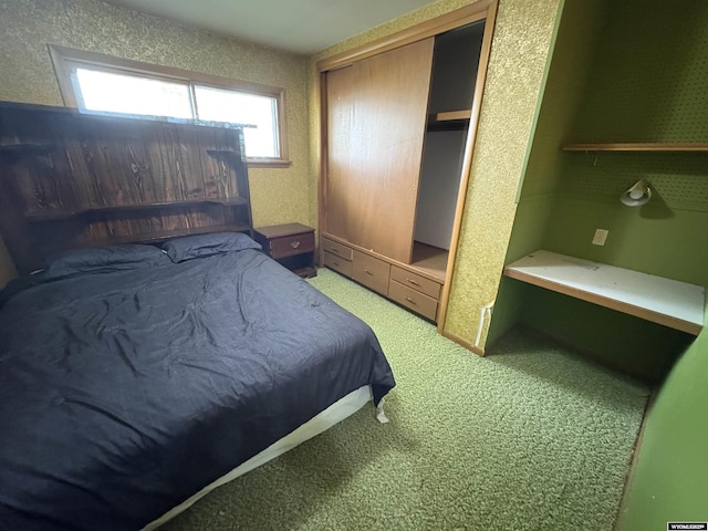 1501 N Federal Blvd, Riverton, WY 82501 - bedroom featuring light carpet and a closet