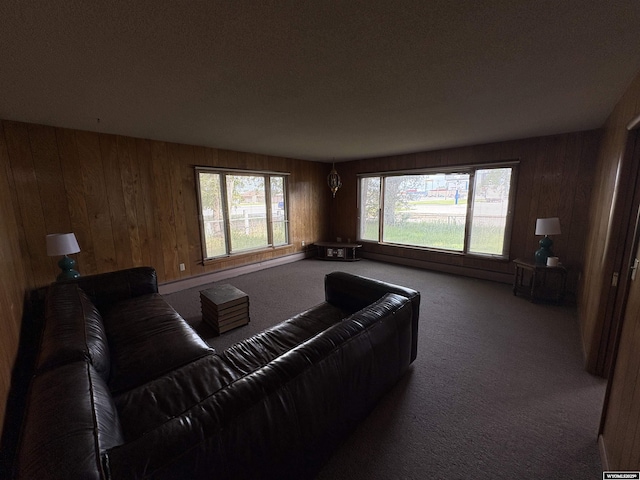 1501 N Federal Blvd, Riverton, WY 82501 - living room with carpet floors and wooden walls