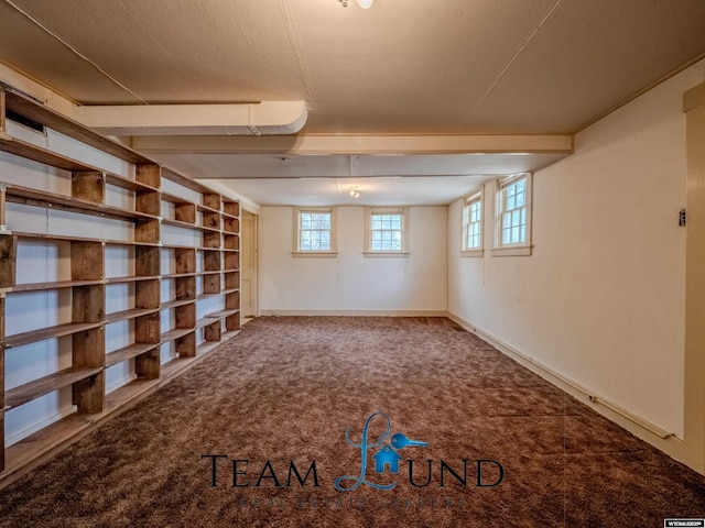719 E 4th St, Casper, WY 82601 - basement with carpet flooring