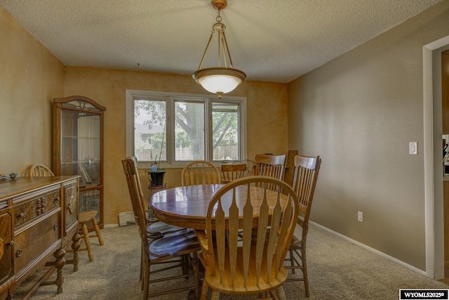 2203 W 42nd St, Casper, WY 82604 - dining room featuring light colored carpet, a textured ceiling, and a baseboard radiator