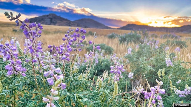 0 Monument Creek Rd, Hanna, WY 82327