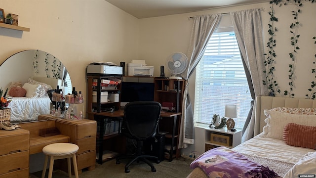 2108 Energy, Rawlins, WY 82301 - bedroom featuring carpet and an office area