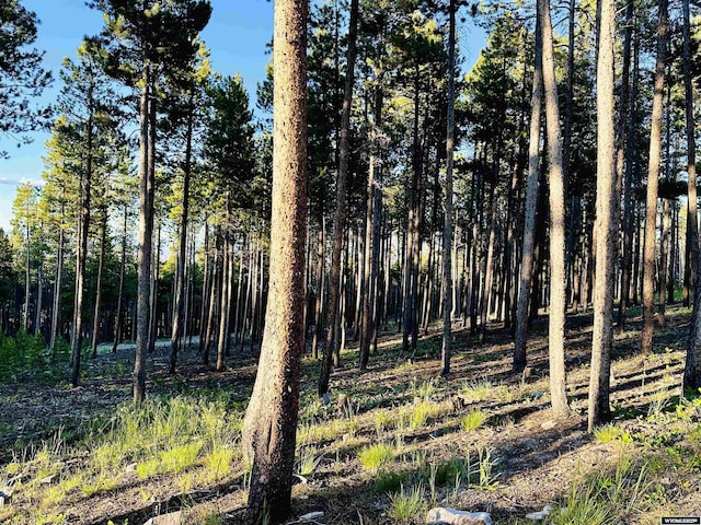 11 Heather Ln, Lander, WY 82520 - view of local wilderness