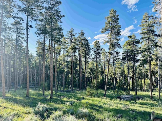 11 Heather Ln, Lander, WY 82520 - view of woods