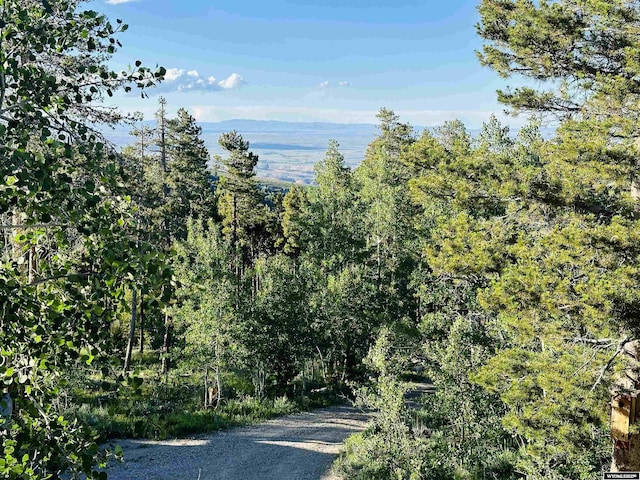 11 Heather Ln, Lander, WY 82520 - view of street with a view of trees