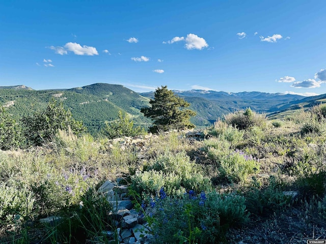 11 Heather Ln, Lander, WY 82520 - view of mountain backdrop