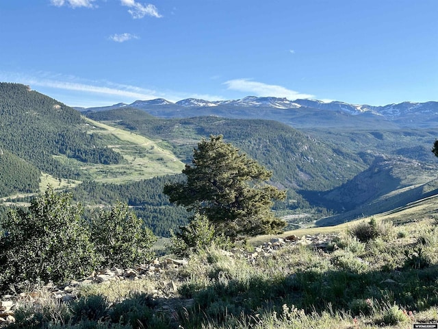 11 Heather Ln, Lander, WY 82520 - view of mountain background