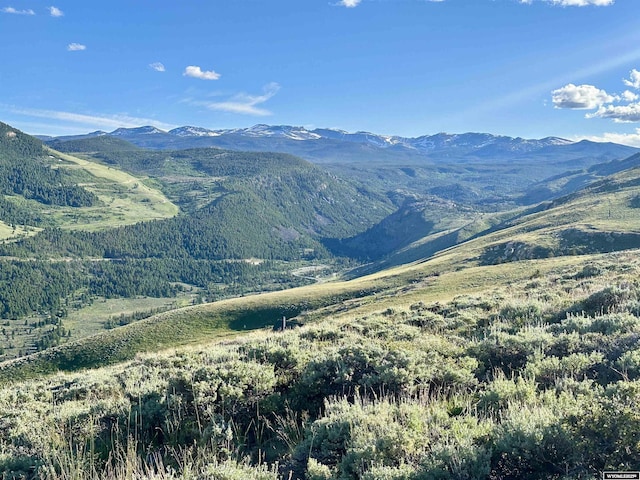 11 Heather Ln, Lander, WY 82520 - mountain view