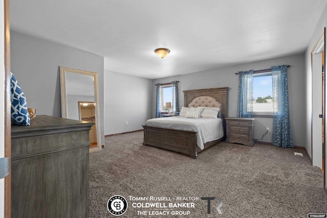 1728 James, Casper, WY 82601 - carpeted bedroom with multiple windows