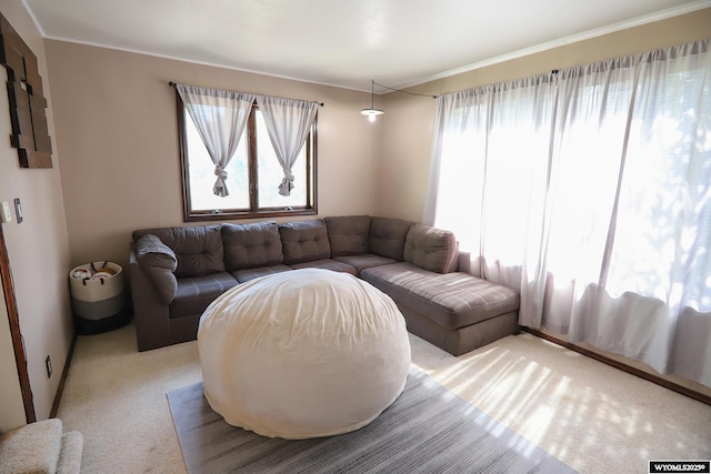 609 Klondike Dr, Buffalo, WY 82834 - carpeted living area featuring plenty of natural light and ornamental molding