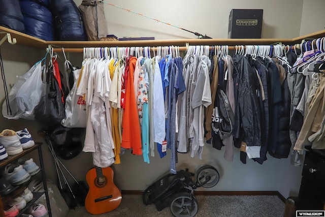 609 Klondike Dr, Buffalo, WY 82834 - walk in closet with carpet