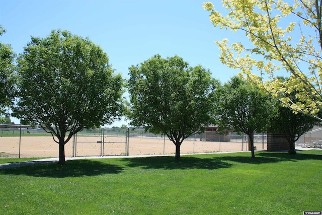 321 N Platte River Dr, Guernsey, WY 82214 - view of yard