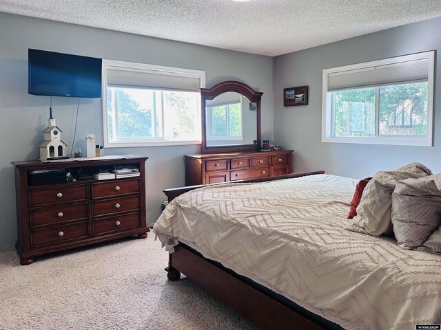 1542 Cloud Peak Dr, Worland, WY 82401 - bedroom with light carpet and a textured ceiling