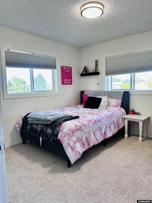 1542 Cloud Peak Dr, Worland, WY 82401 - carpeted bedroom featuring multiple windows and a textured ceiling