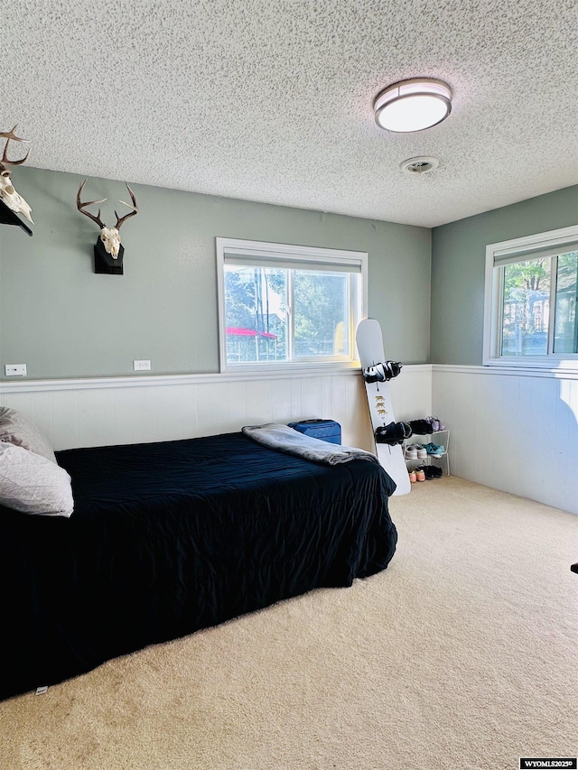 1542 Cloud Peak Dr, Worland, WY 82401 - bedroom with carpet floors, wainscoting, a textured ceiling, and wooden walls