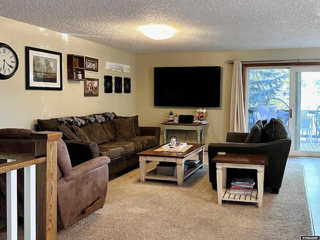 1542 Cloud Peak Dr, Worland, WY 82401 - living area with a textured ceiling and carpet floors