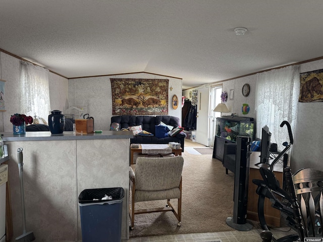 1700 Swanson # 89, Rock Springs, WY 82901 - living room with carpet, a textured ceiling, and ornamental molding