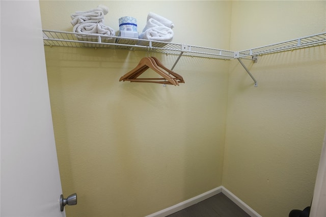 view of walk in closet