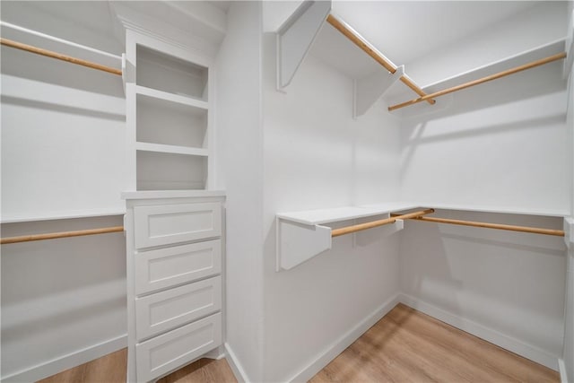 spacious closet featuring light wood-style floors