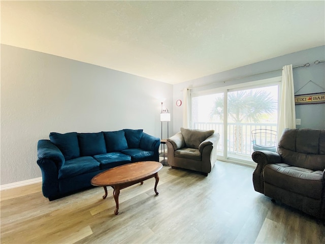 living room with light wood-type flooring