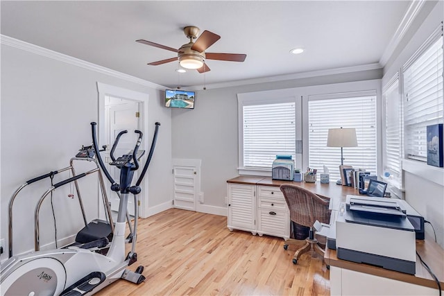 office featuring crown molding, ceiling fan, and light wood-type flooring