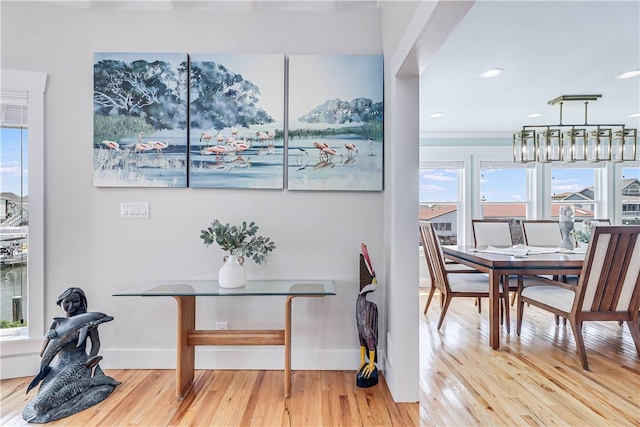 dining space with a chandelier, a healthy amount of sunlight, and light hardwood / wood-style floors