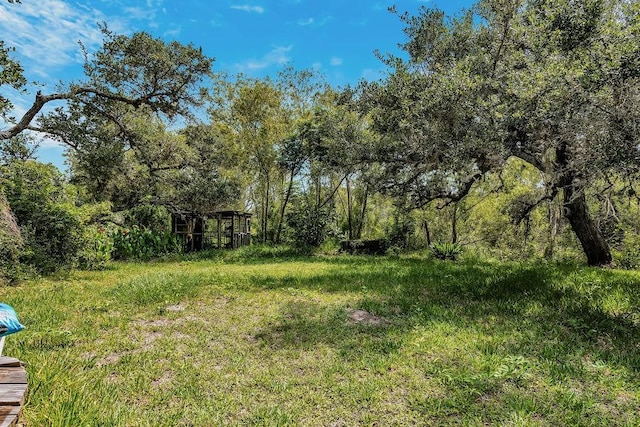 540 Jacoby Ln, Aransas Pass, TX 78336 - view of yard