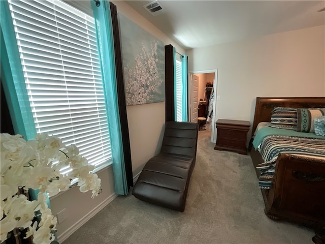 bedroom with a spacious closet and light colored carpet